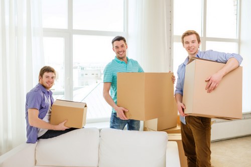 Furniture moving equipment used for safe removals